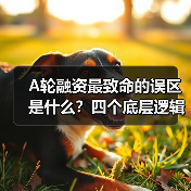 A轮融资最致命的误区是什么?四个底层逻辑帮你避开80%的坑(图3) A轮融资最致命的误区是什么?四个底层逻辑帮你避开80%的坑(图3)