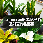anne run瑜伽服怎样?选对真的很重要(图1) anne run瑜伽服怎样?选对真的很重要(图1)